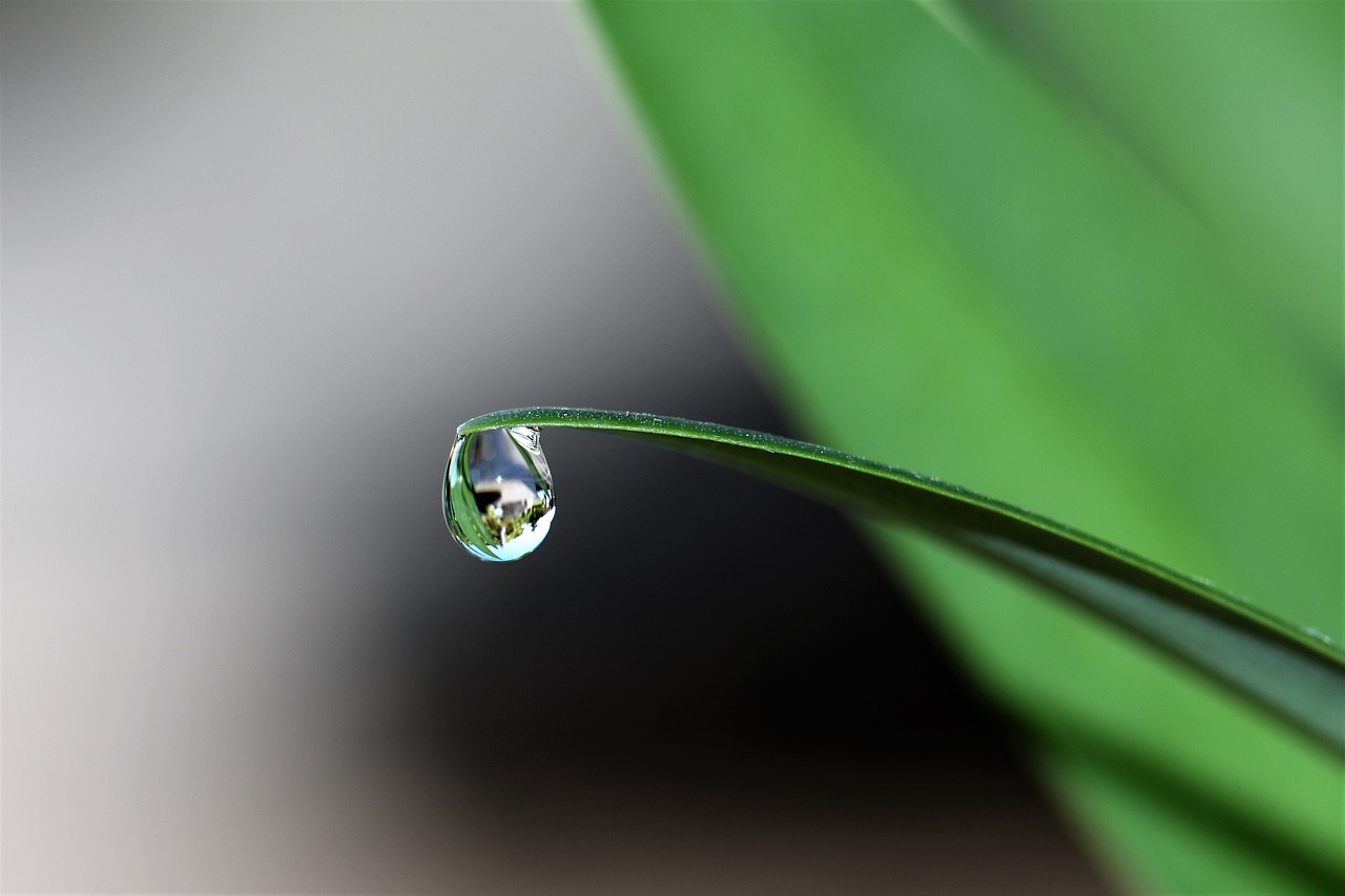 雨后——孟凡果诗十首