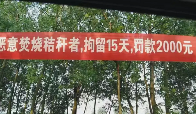 秸秆禁烧十年，基层付出了什么成本？！