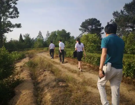 什么是增加基层负担、什么不是增加基层负担，清单来了