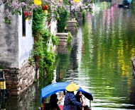 “有一種生活在周莊”：解碼古鎮(zhèn)冬季的“溫暖”密碼