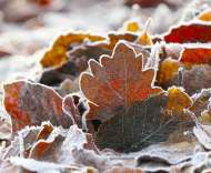 一個時代：讀友人書——周琪