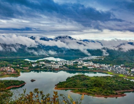 动静之间，归心姜家