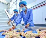 張寧：發(fā)展農(nóng)村集體經(jīng)濟(jì)需要注意的關(guān)鍵性問(wèn)題