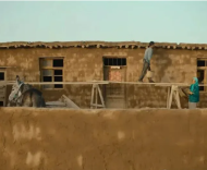 一位博導(dǎo)的建議是：即使博士返鄉(xiāng)，也不要寫什么返鄉(xiāng)紀(jì)事