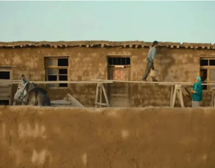 一位博导的建议是：即使博士返乡，也不要写什么返乡纪事