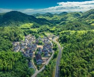 風(fēng)物有信，赴一場姚村的慢約