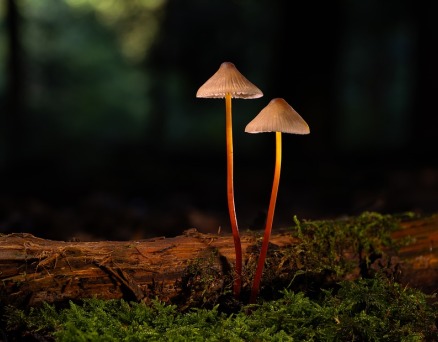 無言——惠永臣詩十一首