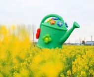 来永宁，给春天续个杯