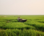 我迷路了，在三月的植物園——周琪詩九首