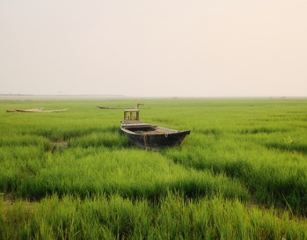 我迷路了，在三月的植物园——周琪诗九首