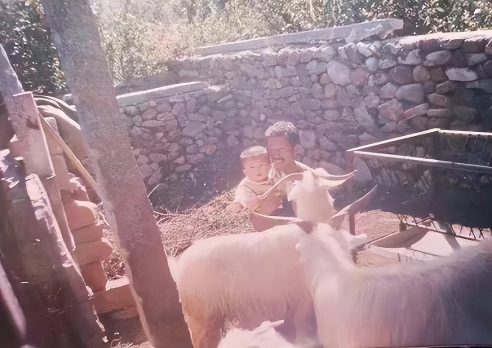 马常旭的童年相册：一张照片，一段故事