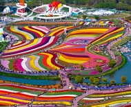 在他那邊的天——寫在江蘇大豐荷蘭花海采風文學活動