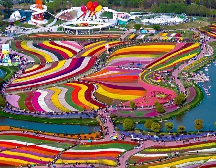 在他那边的天——写在江苏大丰荷兰花海采风文学活动