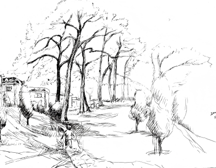 不一樣的煙火——劉暢短詩十一首